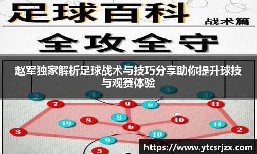 赵军独家解析足球战术与技巧分享助你提升球技与观赛体验