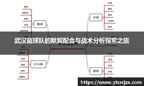 武汉篮球队的默契配合与战术分析探索之旅