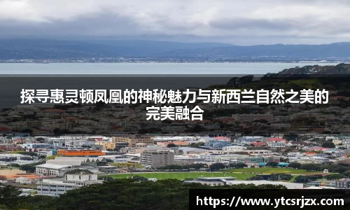 探寻惠灵顿凤凰的神秘魅力与新西兰自然之美的完美融合